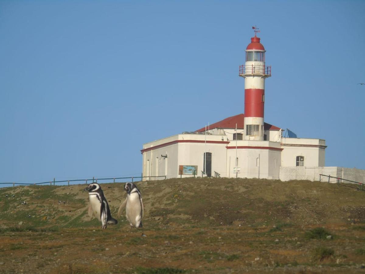 Villanita Punta Arenas Dış mekan fotoğraf