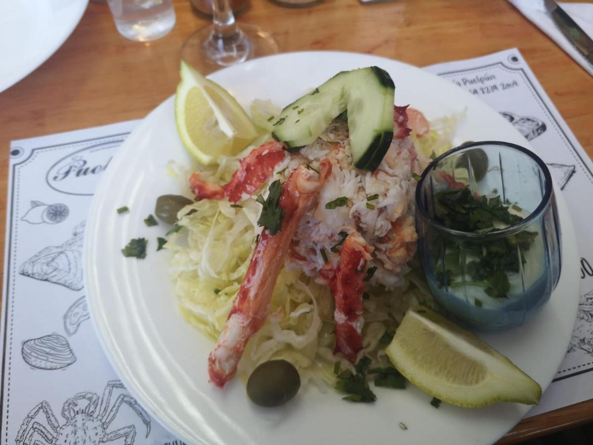Villanita Punta Arenas Dış mekan fotoğraf
